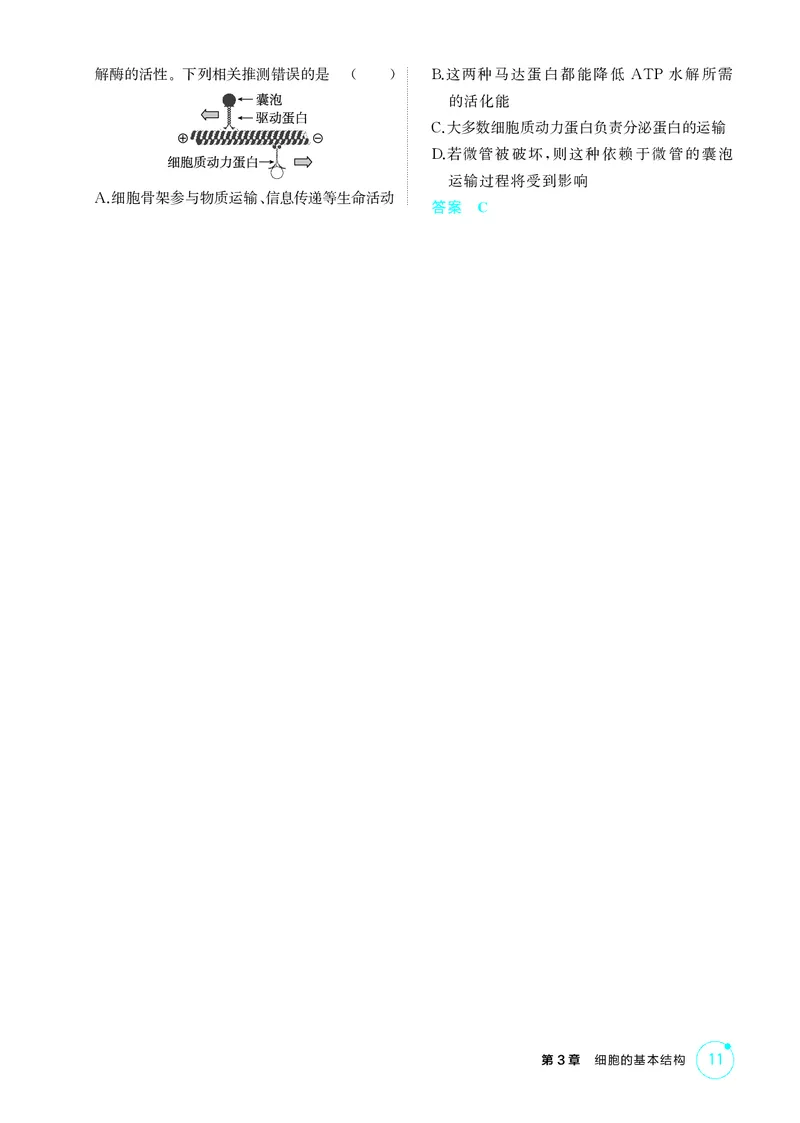 《1_精练册第3章细胞的基本结构_2026版教学资源包_202653高考总复习A版_新高考_生物_教师A版2026年.新高考版.生物.53_第1部分分子与细胞_第3章细胞的基本结构_4_PDF教参电子书》第4页预览
