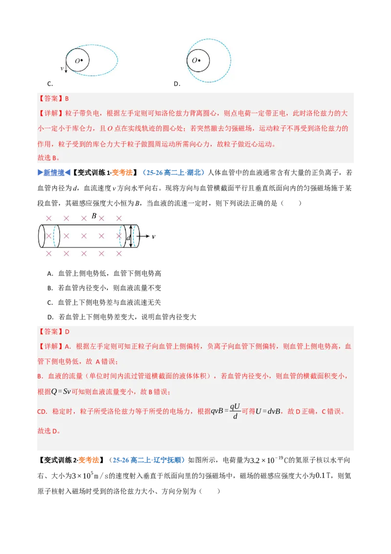 《第26讲洛伦兹力带电粒子在匀强磁场中的运动（复习讲义）（黑吉辽蒙专用）（教师版）_地理_2027年高考地理一轮_2027年高考物理一轮课件+讲义+练习（黑吉辽蒙专用）-G330_2027版》第7页预览