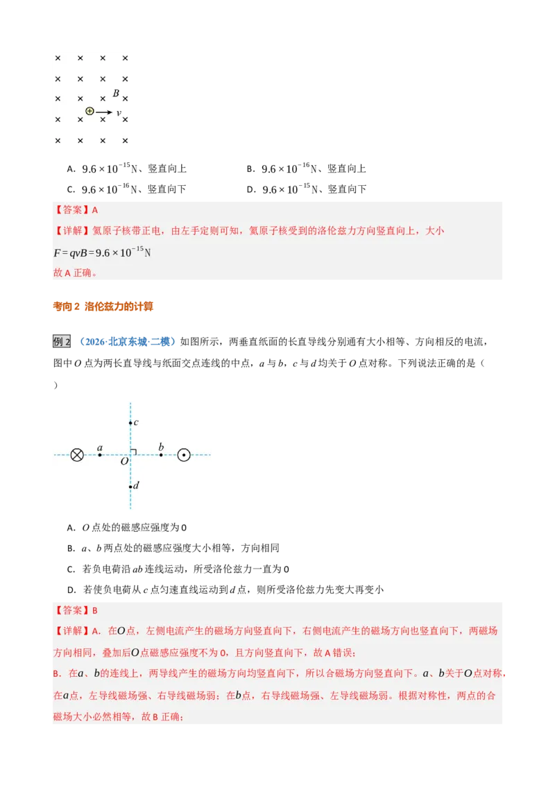 《第26讲洛伦兹力带电粒子在匀强磁场中的运动（复习讲义）（黑吉辽蒙专用）（教师版）_地理_2027年高考地理一轮_2027年高考物理一轮课件+讲义+练习（黑吉辽蒙专用）-G330_2027版》第8页预览