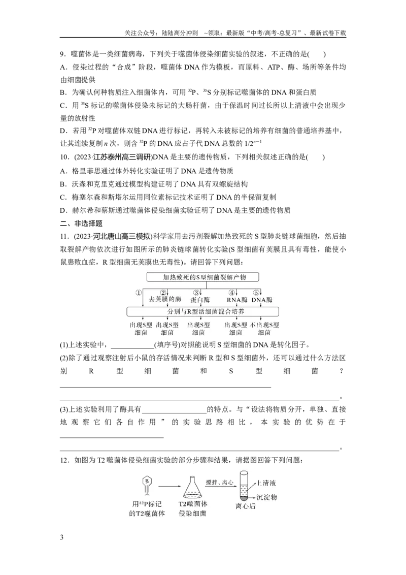 《第6单元　课时练1　DNA是主要的遗传物质_06-生物-高考总复习_一轮复习_2024年_2024高考生物大一轮复习课件讲义新人教版知识总结_2024年高考生物一轮复习讲义（新人教版）_一轮复习69练》第3页预览
