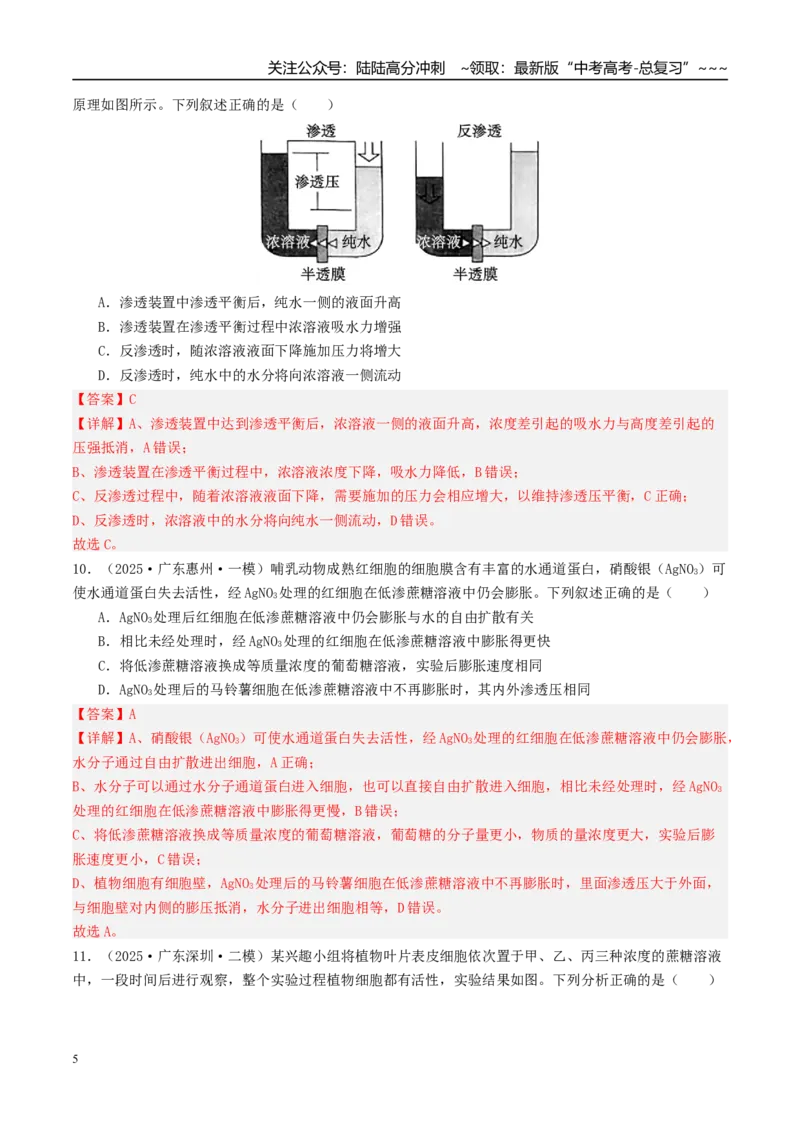 《第二单元细胞的结构、功能和物质运输（综合训练）（安徽专用）（教师版）_06-生物-高考总复习_一轮复习_2026年-生物高考一轮复习_2026年高考生物一轮课件+讲义+练习（安徽专用）-G326》第5页预览