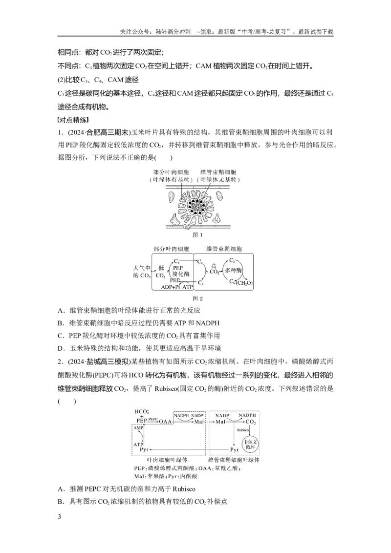 《第三单元　专题突破2　不同生物固定二氧化碳的方式比较_06-生物-高考总复习_一轮复习_2025年_2025年大一轮复习讲义人教版生物_资料_1-资料_大一轮复习讲义学生专用_2025大一轮复习讲义》第3页预览