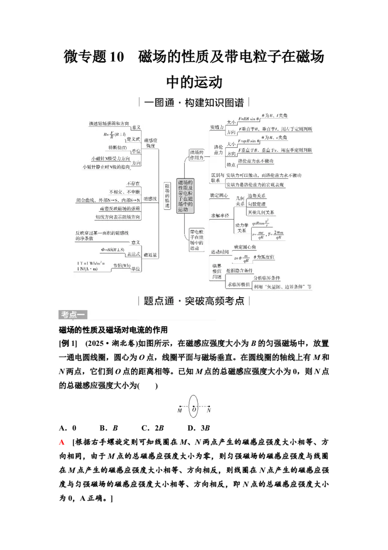 《13　大单元三　微专题10　磁场的性质及带电粒子在磁场中的运动(1)_2026版高中《二三轮复习+冲刺复习》_2.教师用书Word》第1页预览