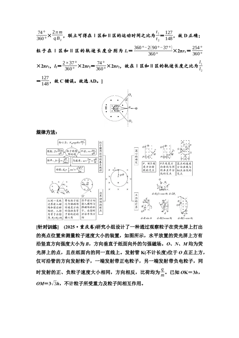 《13　大单元三　微专题10　磁场的性质及带电粒子在磁场中的运动(1)_2026版高中《二三轮复习+冲刺复习》_2.教师用书Word》第5页预览