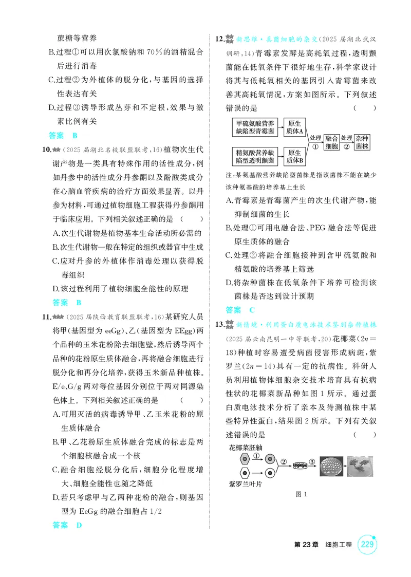 《1_精练册第23章细胞工程_2026版教学资源包_202653高考总复习A版_新高考_生物_教师A版2026年.新高考版.生物.53_第5部分生物技术与工程_第23章细胞工程_4_PDF教参电子书》第3页预览
