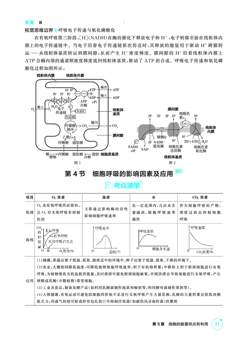 《1_精讲册PDF-第5章细胞的能量供应和利用_2026版教学资源包_202653高考总复习A版_山东版_2026版.山东版.选考总复习.生物.5·3A版_第1部分分子与细胞_第5章细胞的能量供应和利用_2_精讲册PDF》第10页预览