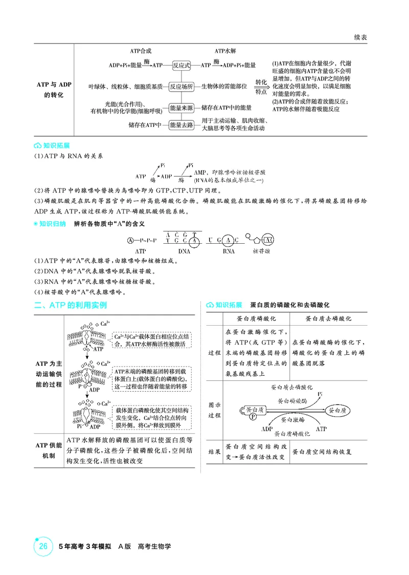 《1_精讲册PDF-第5章细胞的能量供应和利用_2026版教学资源包_202653高考总复习A版_山东版_2026版.山东版.选考总复习.生物.5·3A版_第1部分分子与细胞_第5章细胞的能量供应和利用_2_精讲册PDF》第5页预览