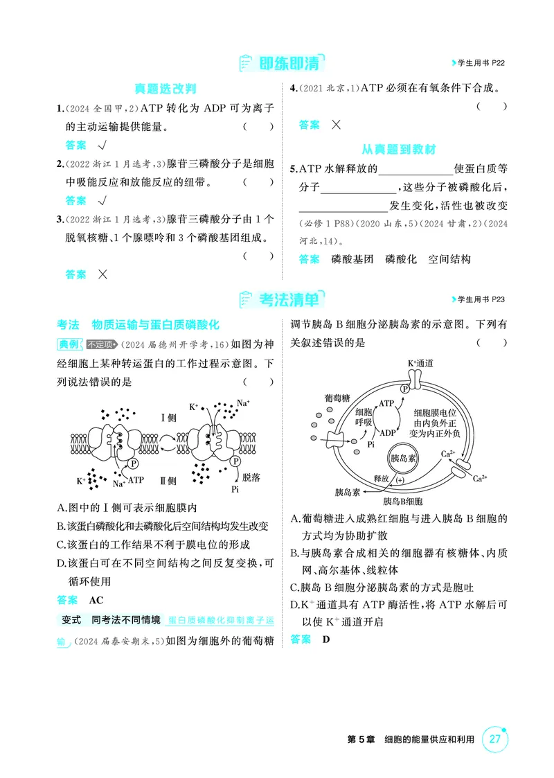 《1_精讲册PDF-第5章细胞的能量供应和利用_2026版教学资源包_202653高考总复习A版_山东版_2026版.山东版.选考总复习.生物.5·3A版_第1部分分子与细胞_第5章细胞的能量供应和利用_2_精讲册PDF》第6页预览