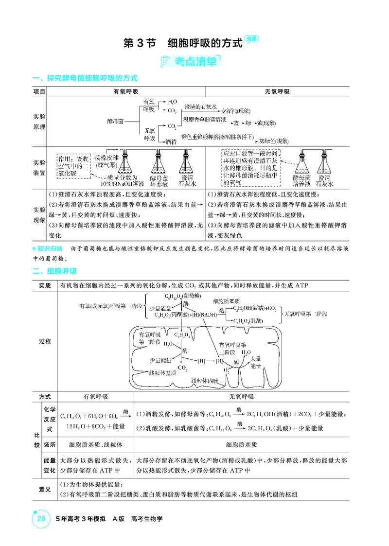 《1_精讲册PDF-第5章细胞的能量供应和利用_2026版教学资源包_202653高考总复习A版_山东版_2026版.山东版.选考总复习.生物.5·3A版_第1部分分子与细胞_第5章细胞的能量供应和利用_2_精讲册PDF》第7页预览
