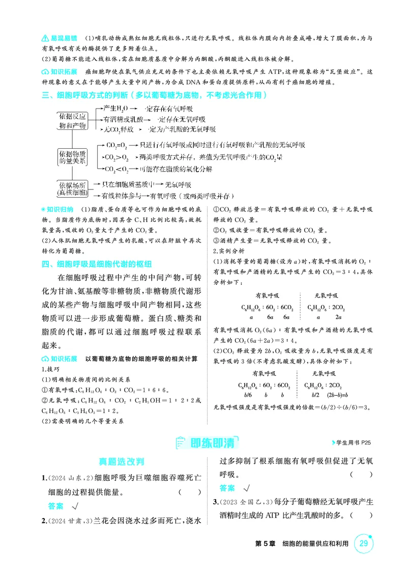 《1_精讲册PDF-第5章细胞的能量供应和利用_2026版教学资源包_202653高考总复习A版_山东版_2026版.山东版.选考总复习.生物.5·3A版_第1部分分子与细胞_第5章细胞的能量供应和利用_2_精讲册PDF》第8页预览