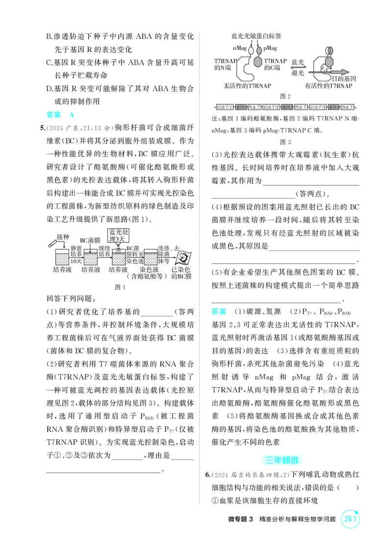 《1_精练册微专题3精准分析与解释生物学问题_2026版教学资源包_202653高考总复习A版_新高考_生物_教师A版2026年.新高考版.生物.53_微专题_微专题3精准分析与解释生物学问题》第2页预览