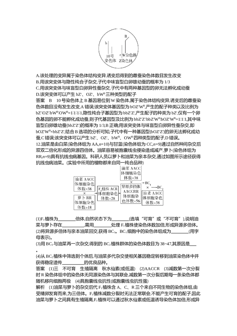 《1_14-专题十四生物的变异与育种_2024版教学资源包_2024版.新高考版生物.5·3A版_14_专题十四生物的变异与育种_6_专题检测》第5页预览
