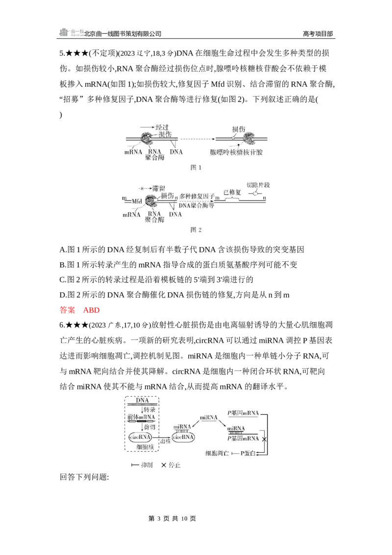 《1_精练册Word-第10章　基因的表达_2026版教学资源包_202653高考总复习A版_山东版_2026版.山东版.选考总复习.生物.5·3A版_第2部分遗传与进化_第10章基因的表达_5_习题WORD》第3页预览