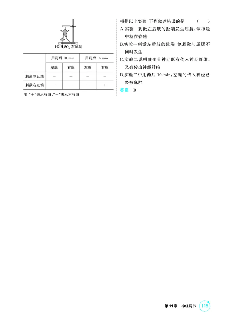 《1_精讲册-第11章神经调节_2026版教学资源包_202653高考总复习A版_浙江版_2026版.浙江版.选考总复习.生物.5·3A版_第3部分稳态与调节_第11章神经调节_2_精讲册PDF》第5页预览
