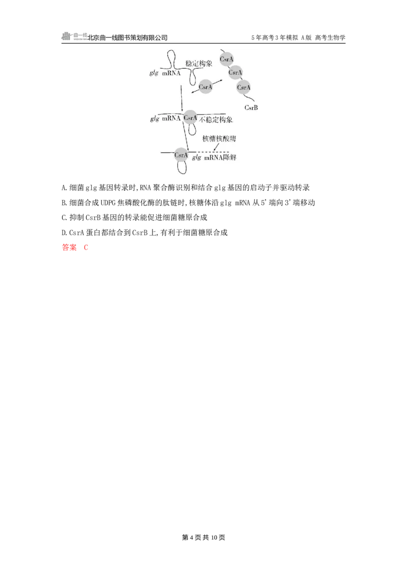 《1_精练册word-第10章　基因的表达_2026版教学资源包_202653高考总复习A版_广东版_2026版.广东版.选考总复习.生物.5·3A版_第2部分遗传与进化_第10章基因的表达_3_习题WORD》第4页预览