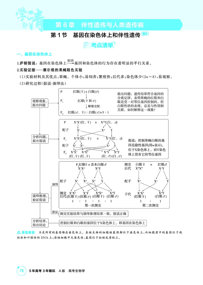 《1_精讲册-第6章伴性遗传与人类遗传病_2026版教学资源包_202653高考总复习A版_浙江版_2026版.浙江版.选考总复习.生物.5·3A版_第2部分遗传与进化_第6章伴性遗传与人类遗传病_2_精讲册PDF》第1页预览