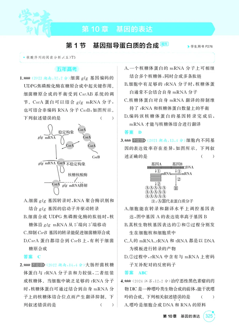 《1_精练册-第10章基因的表达_2026版教学资源包_202653高考总复习A版_湖南版_2026版.湖南版.选考总复习.生物.5·3A版_第2部分遗传与进化_第10章基因的表达_4_PDF教参电子书》第1页预览