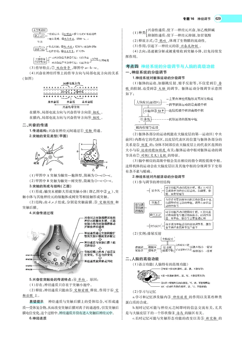 《专题16　神经调节_2022版教学资源包_五年高考三年模拟_2022版新高考版选考总复习生物5·3A版_0125143739_专题16神经调节_专题PDF_专题PDF_专题电子书》第3页预览