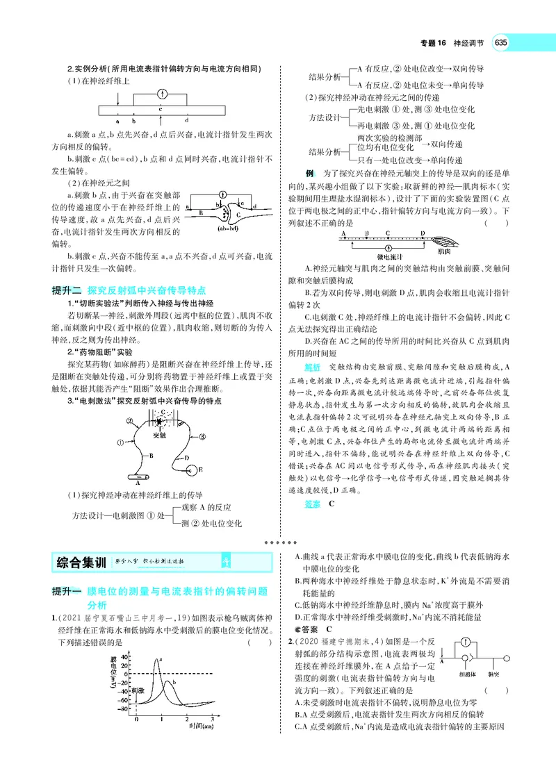 《专题16　神经调节_2022版教学资源包_五年高考三年模拟_2022版新高考版选考总复习生物5·3A版_0125143739_专题16神经调节_专题PDF_专题PDF_专题电子书》第9页预览