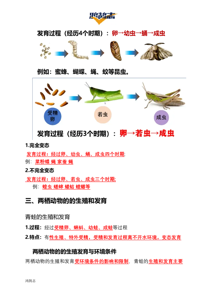 《第七单元生物圈中生命的延续和发展（单元知识清单）_初中全科《知识梳理》打包下载_2025春《名师总结知识点》下册_生物_八年级》第4页预览