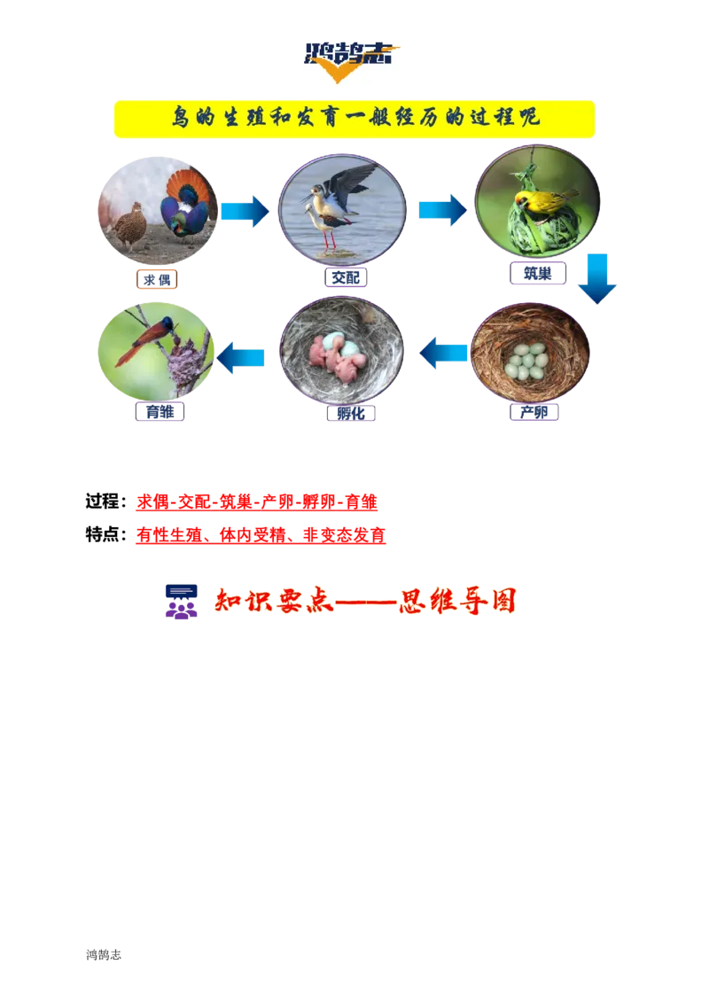 《第七单元生物圈中生命的延续和发展（单元知识清单）_初中全科《知识梳理》打包下载_2025春《名师总结知识点》下册_生物_八年级》第6页预览