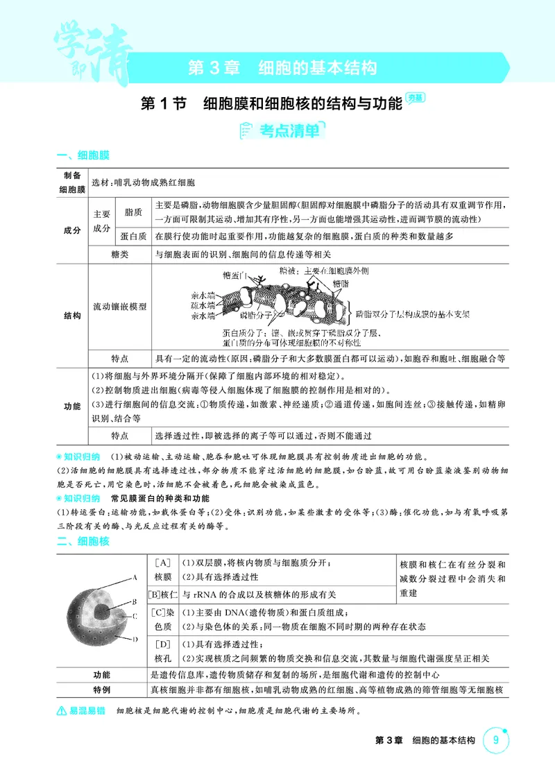 《1_精讲册PDF-第3章细胞的基本结构_2026版教学资源包_202653高考总复习A版_山东版_2026版.山东版.选考总复习.生物.5·3A版_第1部分分子与细胞_第3章细胞的基本结构_2_精讲册PDF》第1页预览