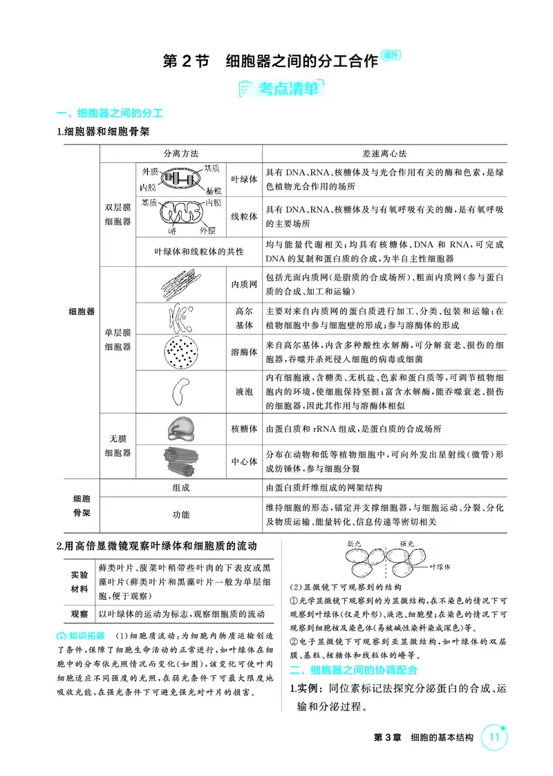 《1_精讲册PDF-第3章细胞的基本结构_2026版教学资源包_202653高考总复习A版_山东版_2026版.山东版.选考总复习.生物.5·3A版_第1部分分子与细胞_第3章细胞的基本结构_2_精讲册PDF》第3页预览