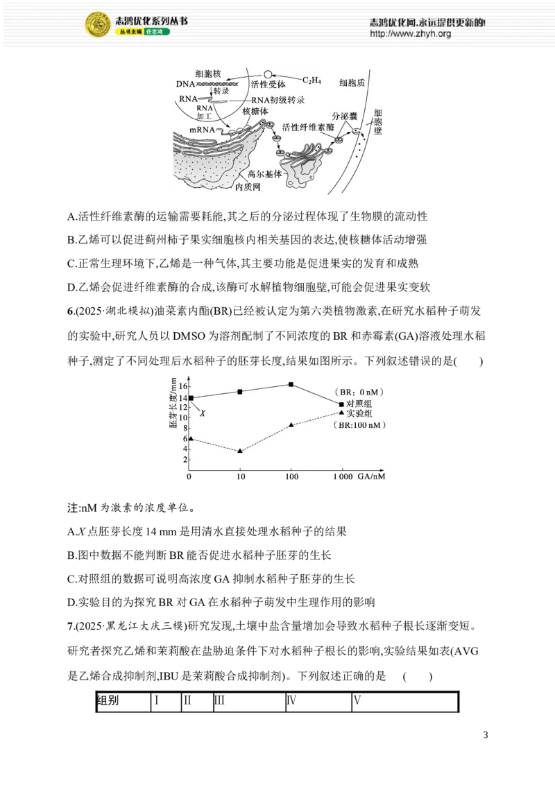 《10.免疫调节、植物生命活动的调节_2026版高中《二三轮复习+冲刺复习》_高考总复习优化设计二轮用书生物课后习题Word_课后习题_考前增分专练_知识对点小题练》第3页预览