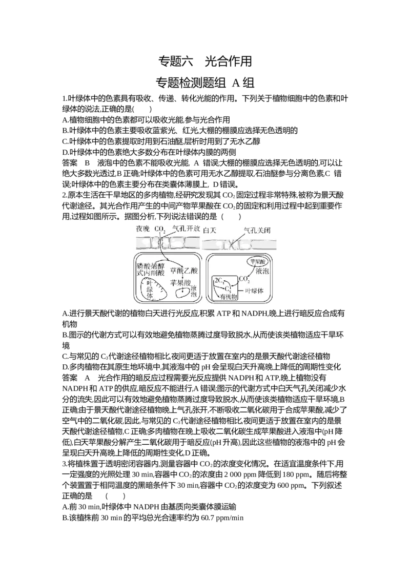 《1_06-专题六光合作用_2024版教学资源包_2024版.新高考版生物.5·3A版_6_专题六光合作用_6_专题检测》第1页预览