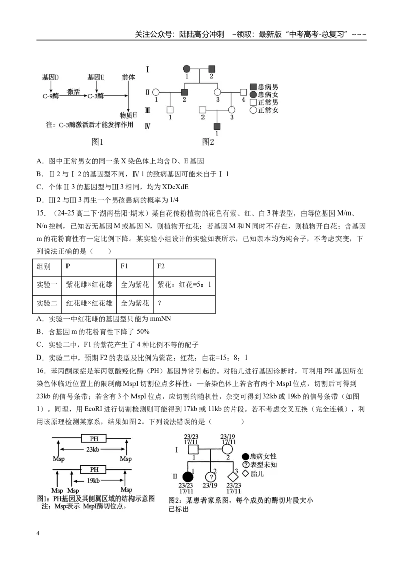 《第五单元基因的传递规律（综合训练）（湖南专用）（学生版）_06-生物-高考总复习_一轮复习_2026年-生物高考一轮复习_2026年高考生物一轮课件+讲义+练习（湖南专用）-G331》第4页预览