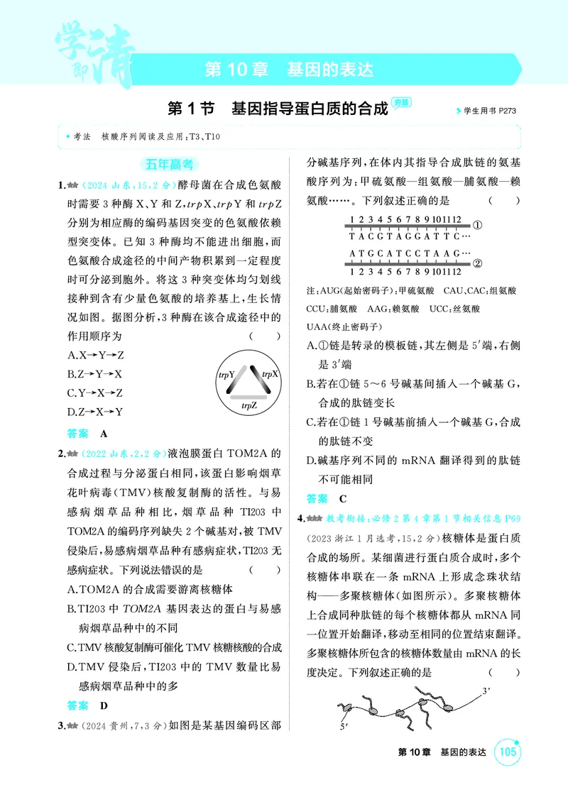 《1_精练册PDF-第10章基因的表达_2026版教学资源包_202653高考总复习A版_山东版_2026版.山东版.选考总复习.生物.5·3A版_第2部分遗传与进化_第10章基因的表达_1_精练册PDF》第1页预览