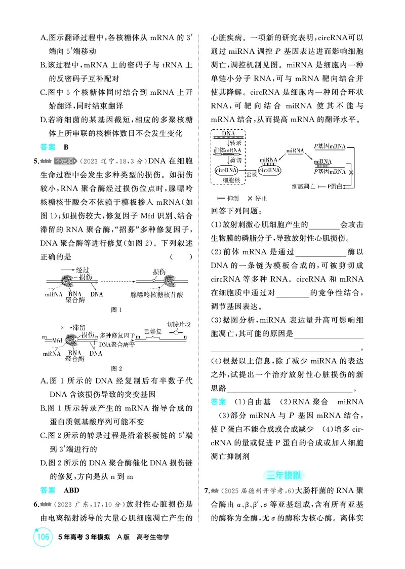 《1_精练册PDF-第10章基因的表达_2026版教学资源包_202653高考总复习A版_山东版_2026版.山东版.选考总复习.生物.5·3A版_第2部分遗传与进化_第10章基因的表达_1_精练册PDF》第2页预览