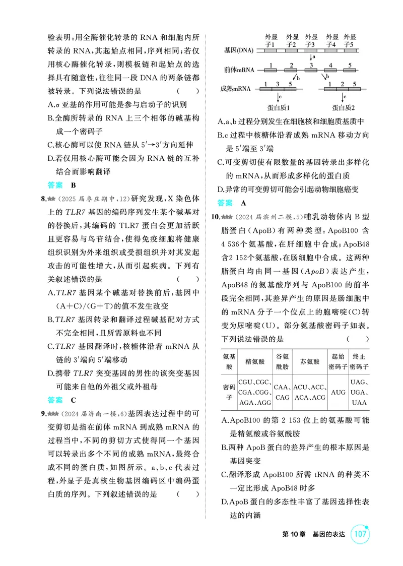 《1_精练册PDF-第10章基因的表达_2026版教学资源包_202653高考总复习A版_山东版_2026版.山东版.选考总复习.生物.5·3A版_第2部分遗传与进化_第10章基因的表达_1_精练册PDF》第3页预览