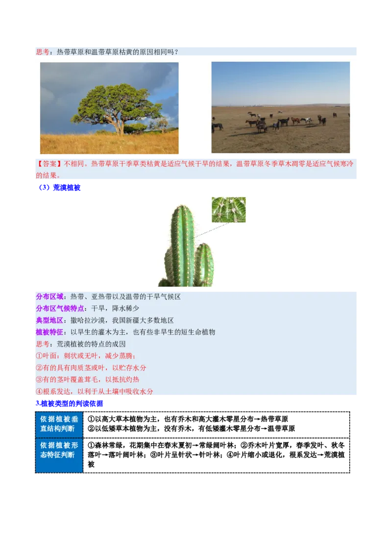 《第16讲植被与土壤（复习讲义）（全国通用）（教师版）_地理_2026年_2026年高考地理一轮复习讲义+练习+课件（新教材新高考）-G55_2026版_专题06自然环境的整体性与差异性》第10页预览