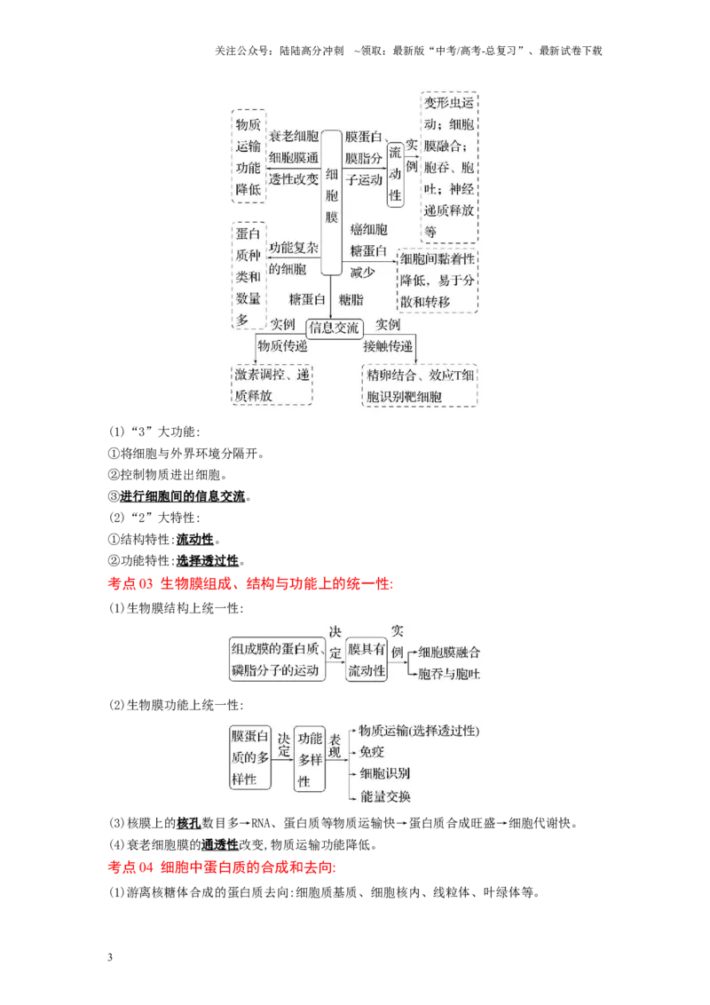 《解密02细胞的基本结构（讲义)-高频考点解密2023年高考生物二轮复习讲义+分层训练（新教材）_06-生物-高考总复习_二轮复习_2024年_2024年新教材高考生物二轮复习讲义分层训练题考点》第3页预览