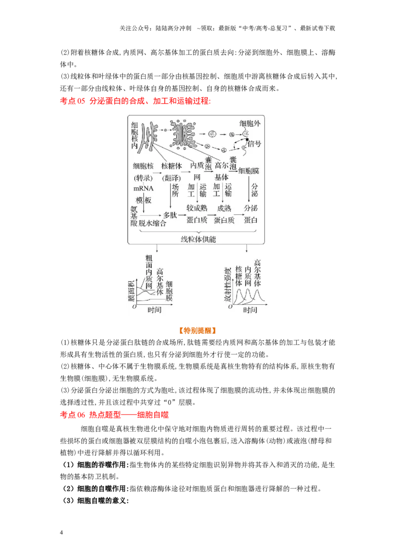 《解密02细胞的基本结构（讲义)-高频考点解密2023年高考生物二轮复习讲义+分层训练（新教材）_06-生物-高考总复习_二轮复习_2024年_2024年新教材高考生物二轮复习讲义分层训练题考点》第4页预览