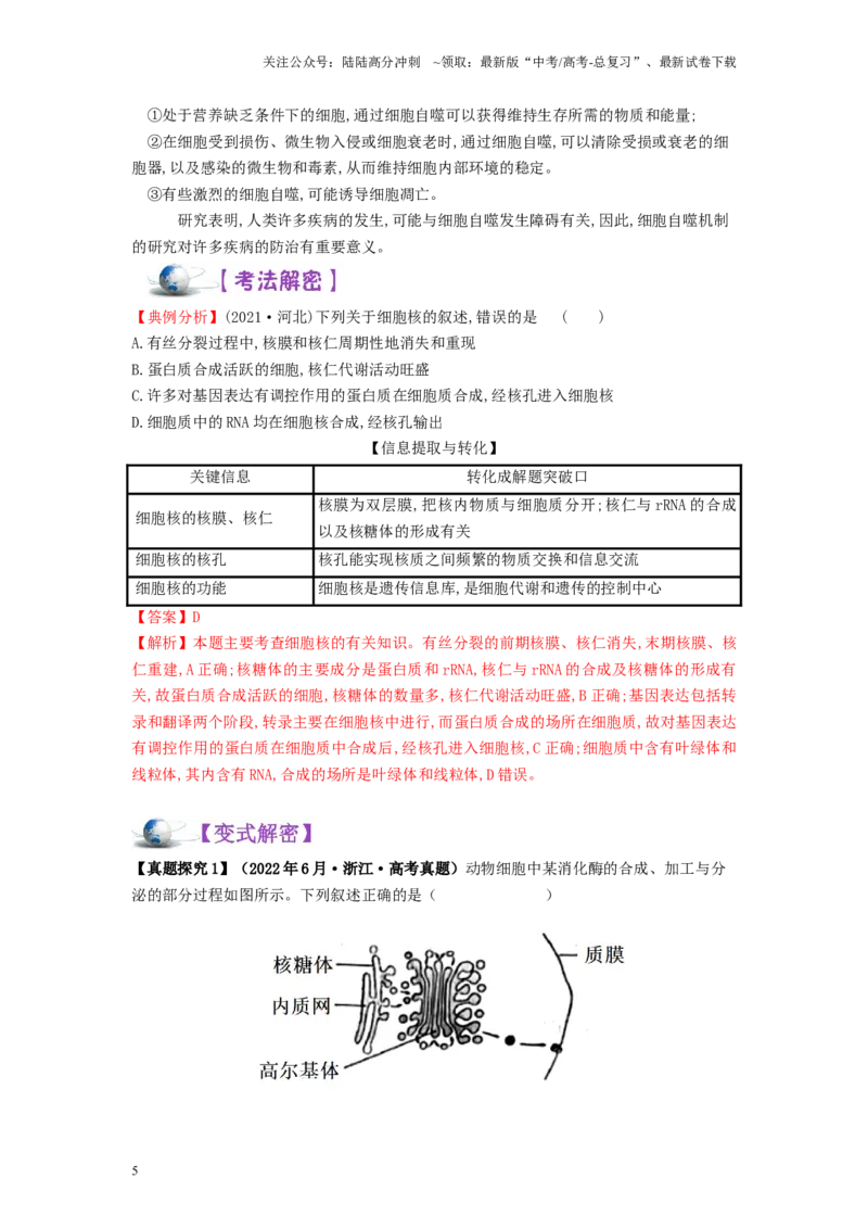 《解密02细胞的基本结构（讲义)-高频考点解密2023年高考生物二轮复习讲义+分层训练（新教材）_06-生物-高考总复习_二轮复习_2024年_2024年新教材高考生物二轮复习讲义分层训练题考点》第5页预览