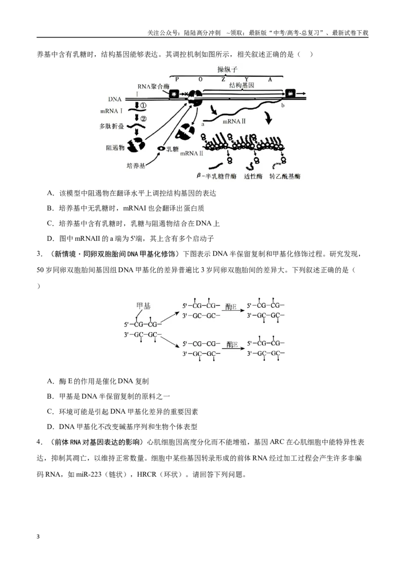 《重难点09基因表达突破（原卷版）_06-生物-高考总复习_专项复习_2025年_2025年高考生物重难点讲义专练（黑吉辽蒙专用）》第3页预览