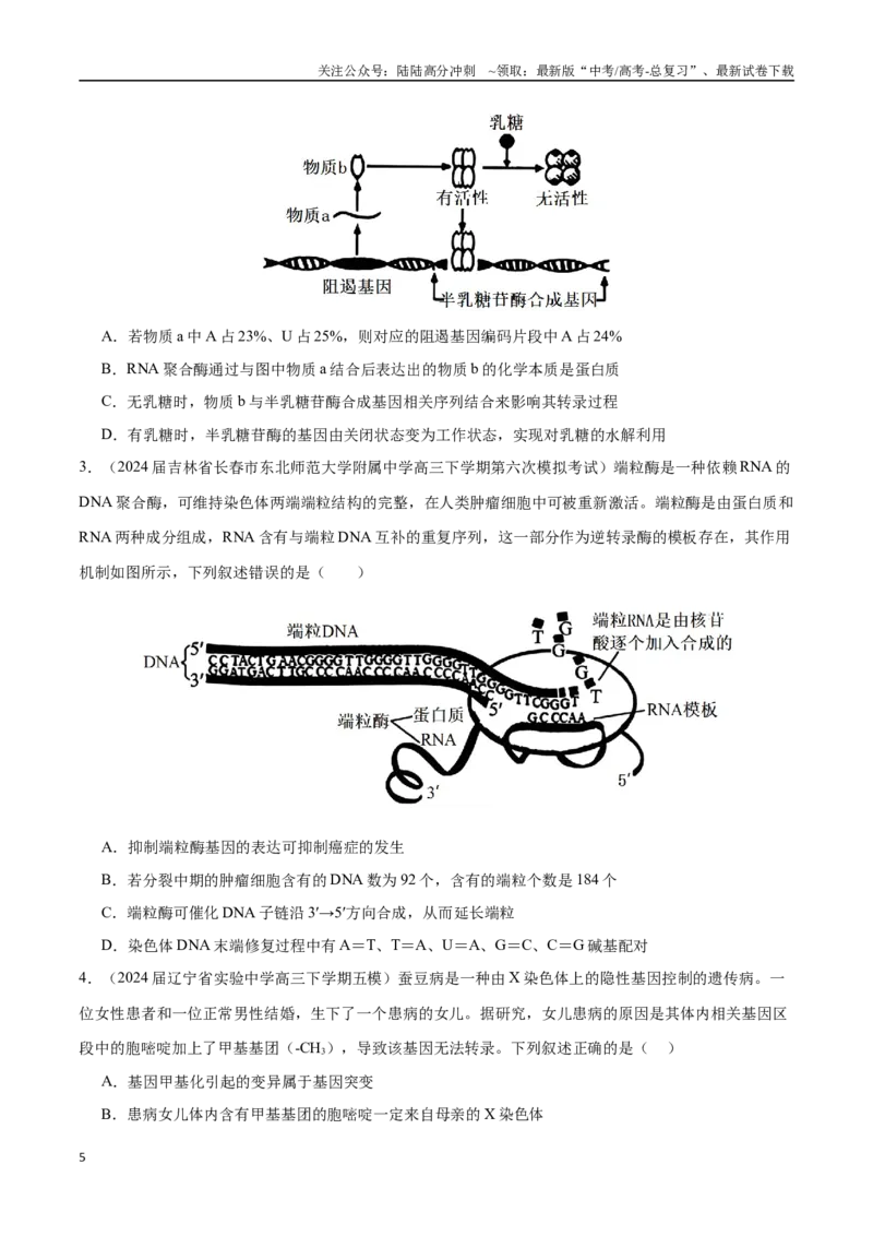 《重难点09基因表达突破（原卷版）_06-生物-高考总复习_专项复习_2025年_2025年高考生物重难点讲义专练（黑吉辽蒙专用）》第5页预览