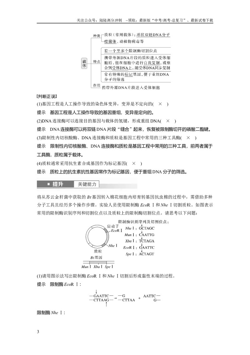 《第十单元　第61课时　基因工程的基本工具和基本操作程序_06-生物-高考总复习_一轮复习_2025年_2025年大一轮复习讲义人教版生物_资料_1-资料_大一轮复习讲义教师专用》第3页预览