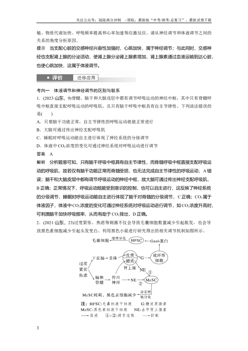 《第八单元　第41课时　体液调节与神经调节的关系_06-生物-高考总复习_一轮复习_2025年_2025年大一轮复习讲义人教版生物_资料_1-资料_大一轮复习讲义教师专用》第3页预览