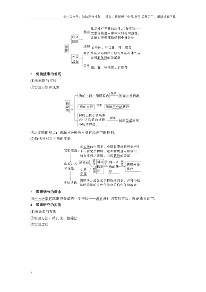 《第八单元　第40课时　激素与内分泌调节及激素调节的过程_06-生物-高考总复习_一轮复习_2025年_2025年大一轮复习讲义人教版生物_资料_1-资料_大一轮复习讲义教师专用》第2页预览