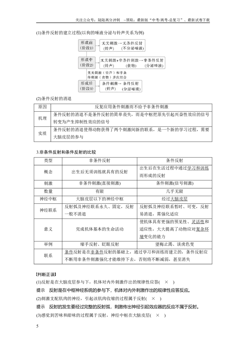 《第八单元　第37课时　神经调节的结构基础和基本方式_06-生物-高考总复习_一轮复习_2025年_2025年大一轮复习讲义人教版生物_资料_1-资料_大一轮复习讲义教师专用》第5页预览