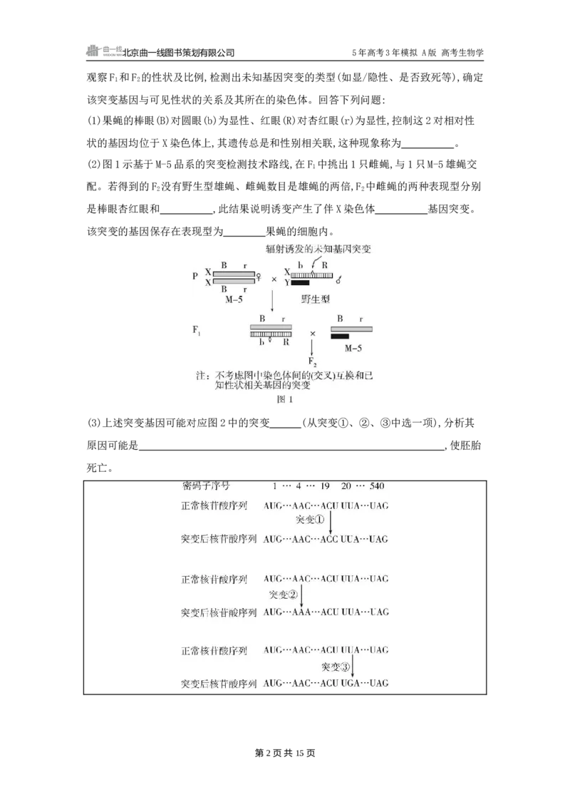 《1_精练册word-第11章　基因突变及其他变异_2026版教学资源包_202653高考总复习A版_广东版_2026版.广东版.选考总复习.生物.5·3A版_第2部分遗传与进化_第11章基因突变及其他变异_3_习题WORD》第2页预览
