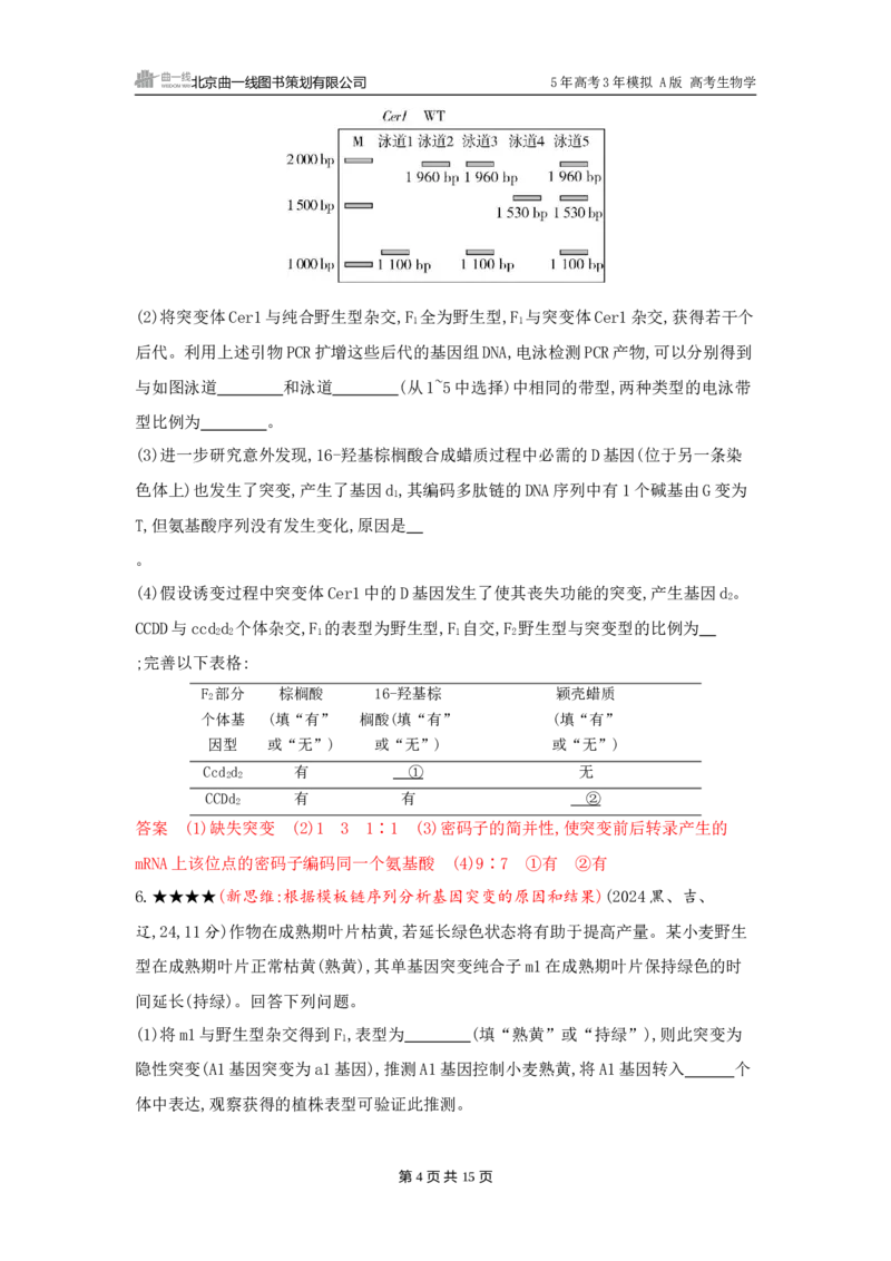 《1_精练册word-第11章　基因突变及其他变异_2026版教学资源包_202653高考总复习A版_广东版_2026版.广东版.选考总复习.生物.5·3A版_第2部分遗传与进化_第11章基因突变及其他变异_3_习题WORD》第4页预览