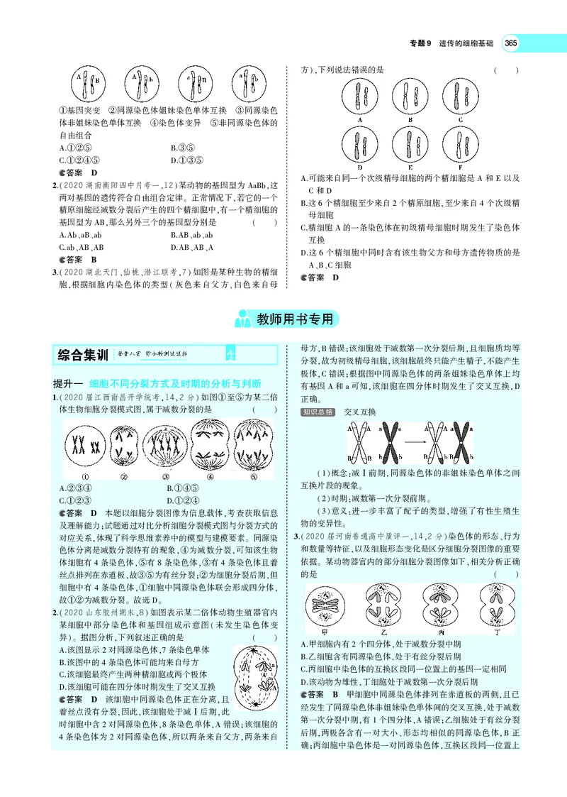 《专题9　遗传的细胞基础_2022版教学资源包_五年高考三年模拟_2022版新高考版选考总复习生物5·3A版_0125143739_专题9遗传的细胞基础_专题PDF_专题PDF_专题电子书》第10页预览