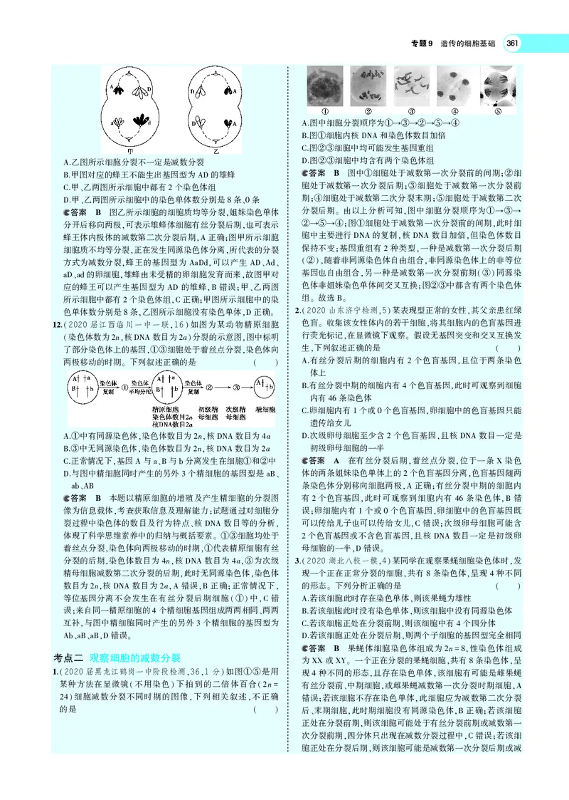 《专题9　遗传的细胞基础_2022版教学资源包_五年高考三年模拟_2022版新高考版选考总复习生物5·3A版_0125143739_专题9遗传的细胞基础_专题PDF_专题PDF_专题电子书》第6页预览