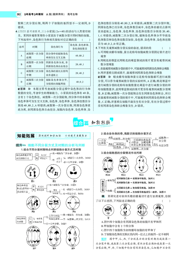 《专题9　遗传的细胞基础_2022版教学资源包_五年高考三年模拟_2022版新高考版选考总复习生物5·3A版_0125143739_专题9遗传的细胞基础_专题PDF_专题PDF_专题电子书》第7页预览