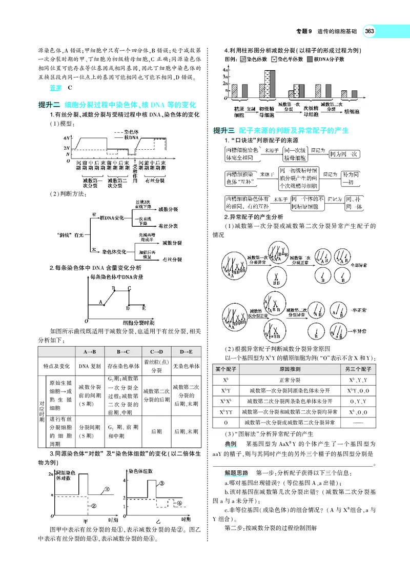 《专题9　遗传的细胞基础_2022版教学资源包_五年高考三年模拟_2022版新高考版选考总复习生物5·3A版_0125143739_专题9遗传的细胞基础_专题PDF_专题PDF_专题电子书》第8页预览