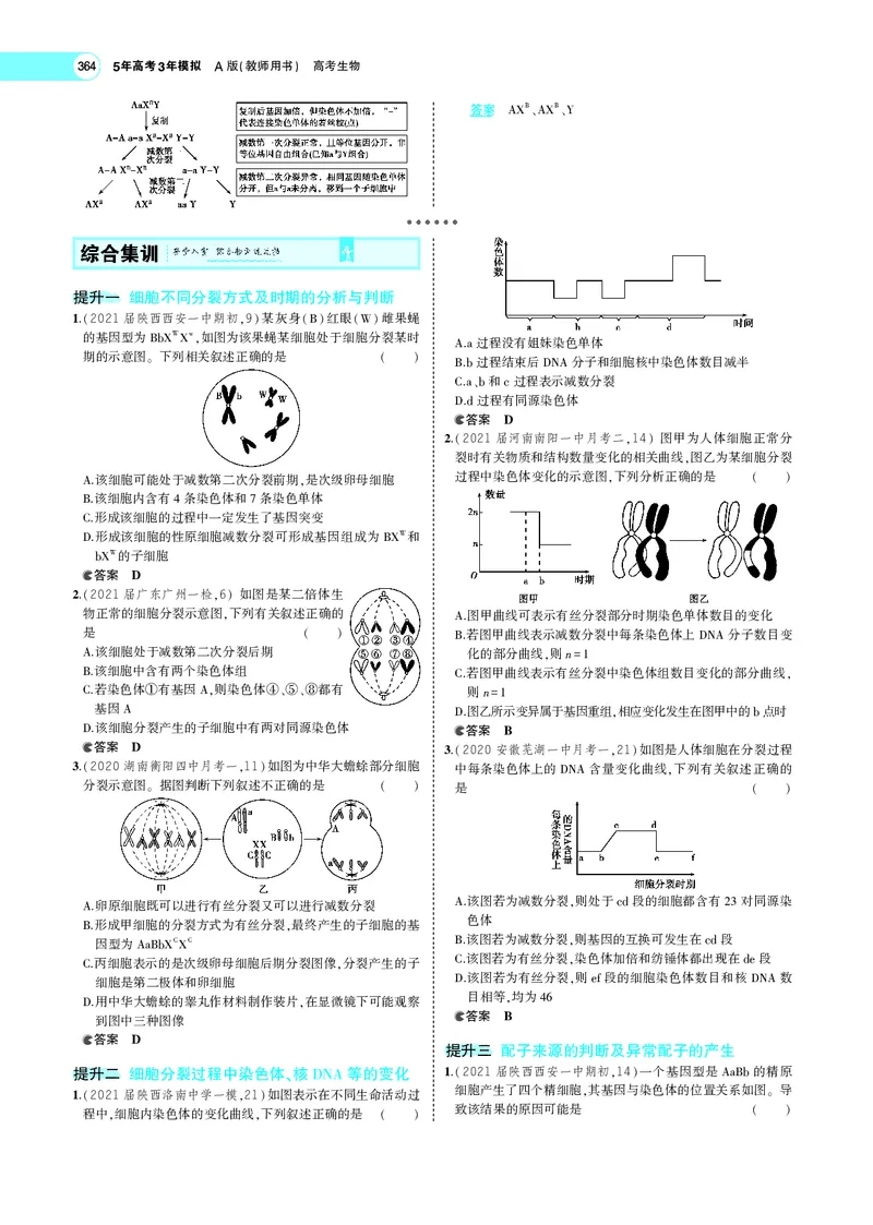 《专题9　遗传的细胞基础_2022版教学资源包_五年高考三年模拟_2022版新高考版选考总复习生物5·3A版_0125143739_专题9遗传的细胞基础_专题PDF_专题PDF_专题电子书》第9页预览